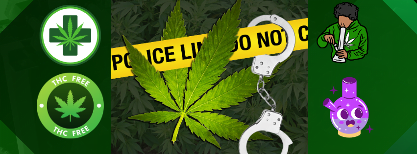 Desvendando o CBD: Preconceito, Progresso e Tendências Futuras de Consumo 2 CBD VS THC uso medico vs recreativo